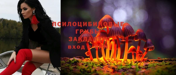 spice Протвино