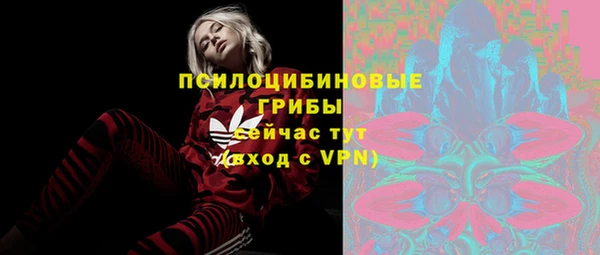 меф Пролетарск