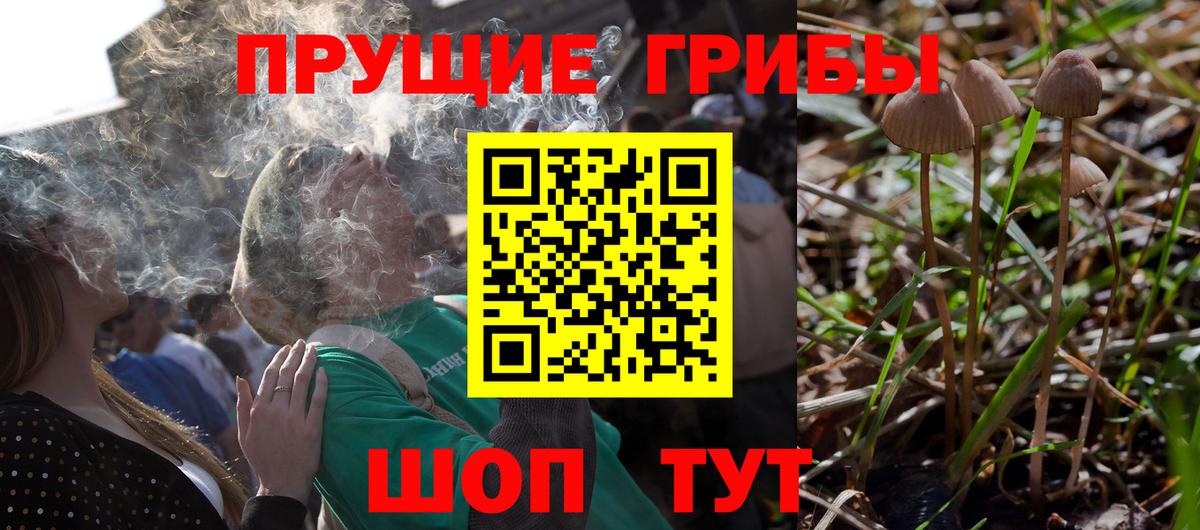 Галлюциногенные грибы Magic Shrooms Старая Русса
