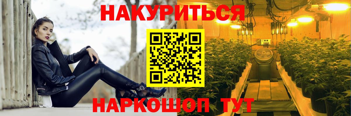 Канабис сатива Старая Русса